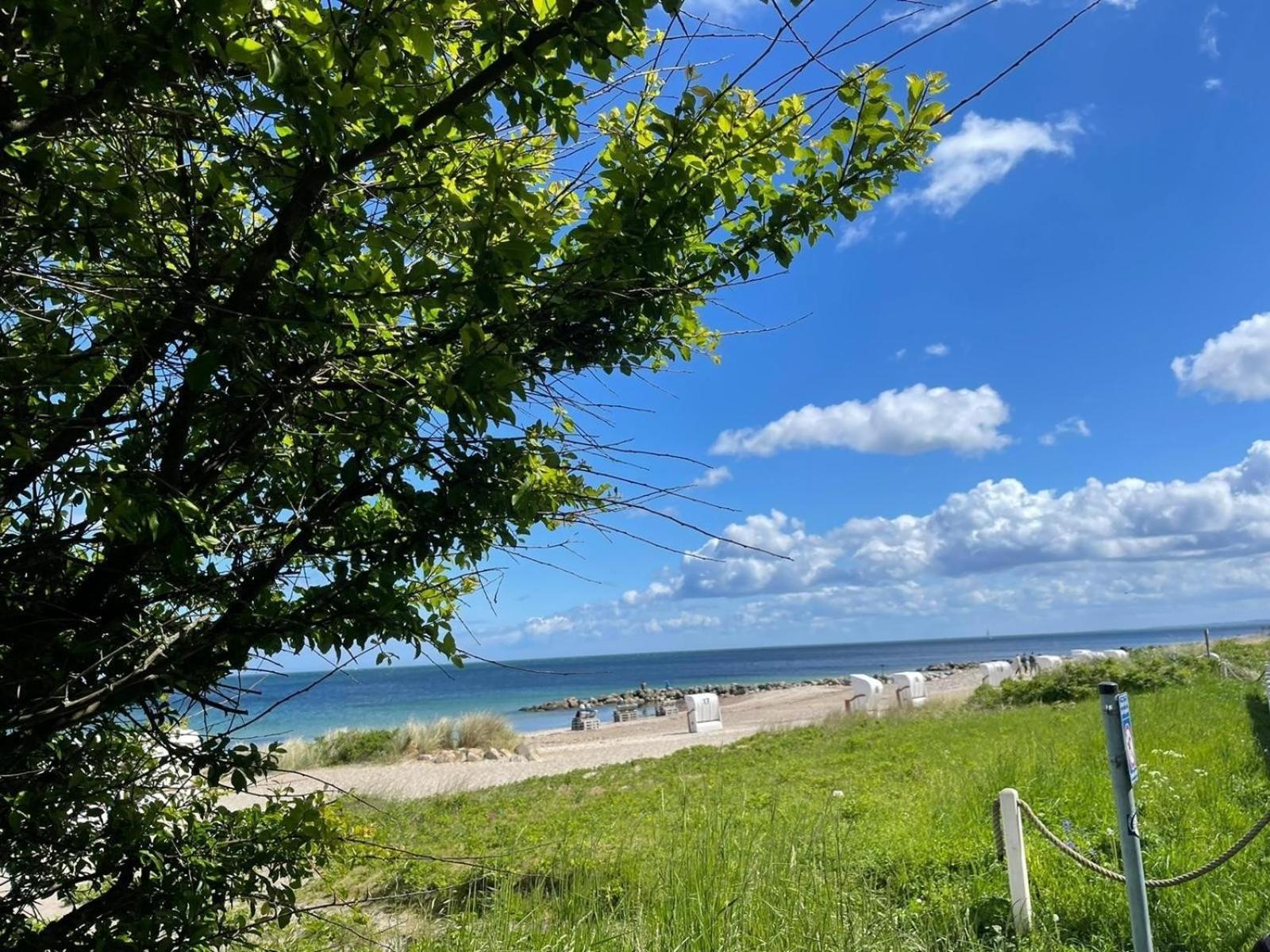 Ferien Am Strand, Urlaub An Der Ostsee Ferienwohnung Am Strand In Der Naehe Der Schlei, Umgebung Von Kappeln U Damp Brodersby-Goltoft Exterior foto